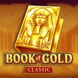 game logo by Playson on slotrizee.de